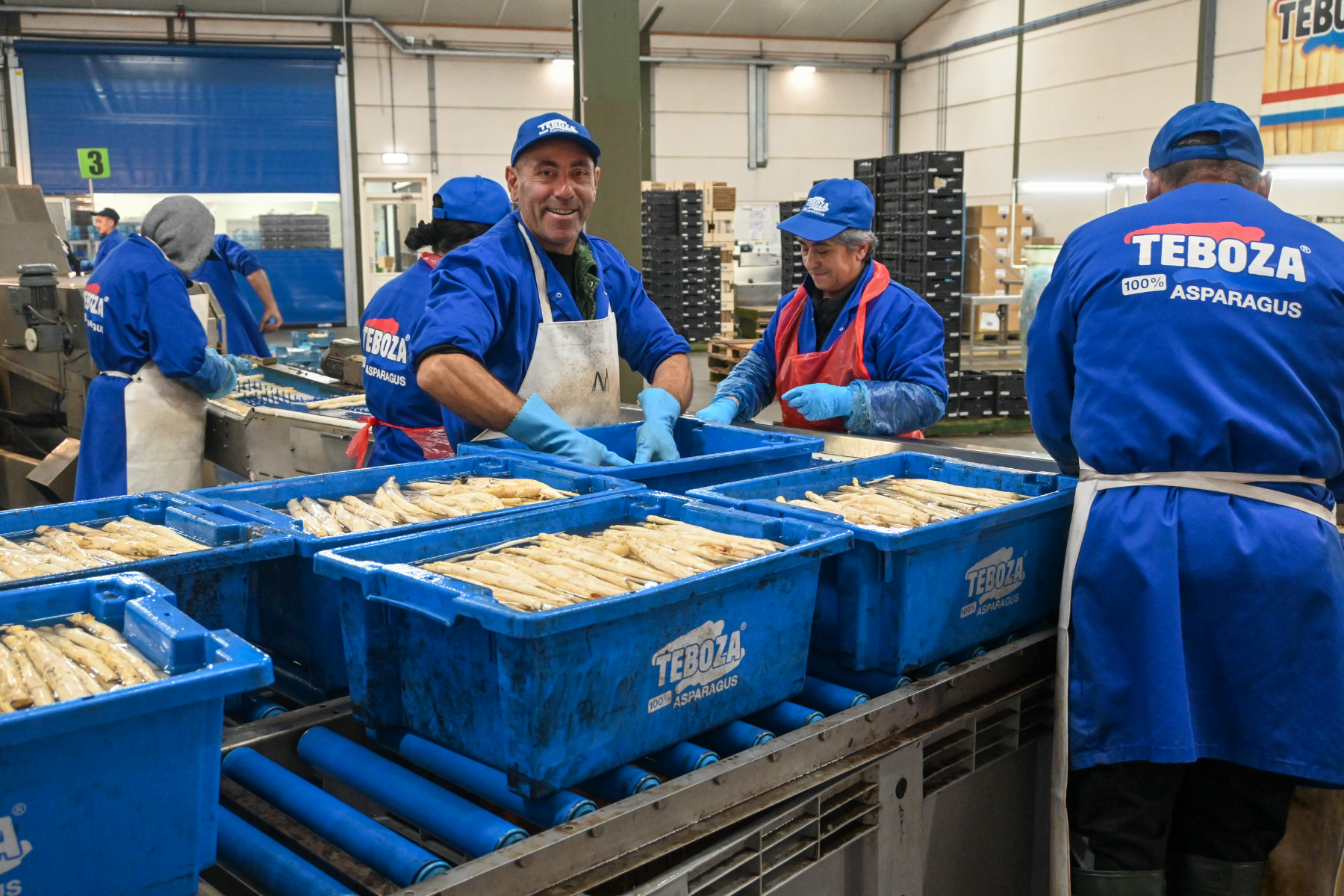 Asparagus packing Asparagus packing